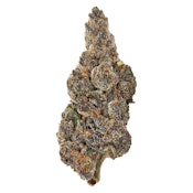 Bud Lafleur - Banana Daddy 3.5g Dried Flower - Indica