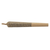 Common Ground - Master Kush 10 x 0.5g Pre-Rolls - Indica