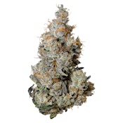Tribal - TRIPLE BURGER 3.5g Dried Flower - Indica
