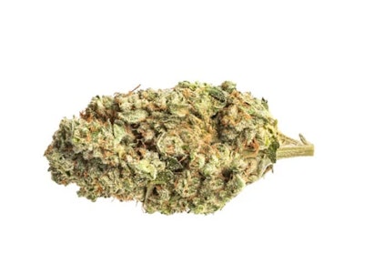 The Original Fraser Valley Weed Co. - BLACK SHERB | 14g