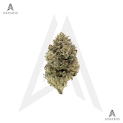 BC Organic Grape Cream Cake | 3.5g