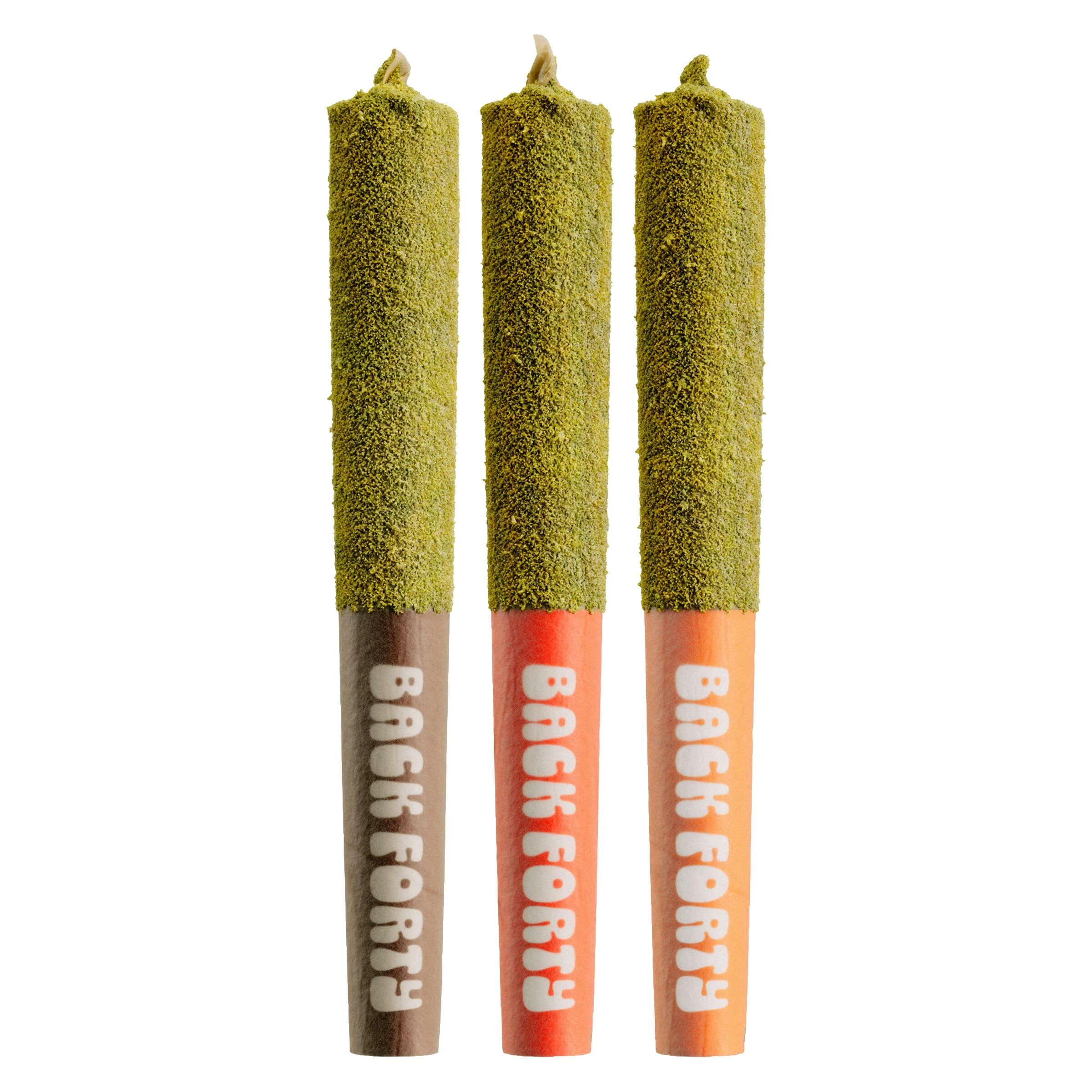 Back Forty - Back Forty - Taster Pack 3 x 0.5g Kief Coated Infused Pre-Rolls - Sativa Main Image