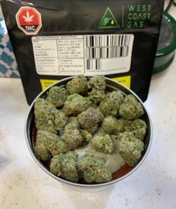 West Coast Gas - Exotics 7g Dried Flower - West Coast Gas