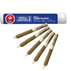 General Admission - Tiger Blood 5 x 0.5g Distillate Infused Pre-Rolls