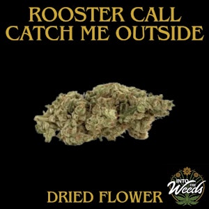 5 POINTS CANNABIS INC - Rooster Call - 3.5g