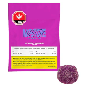 No Future - NO FUTURE - Purple Sativa THC 1 x 10g Soft Chew