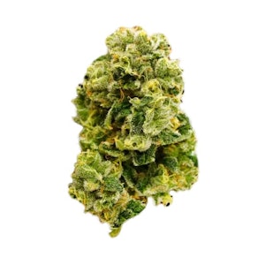 Western Cannabis - 3.5g Matanuska Thunder Fuck - Western Cannabis