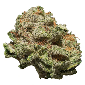 SAFARI FLOWER CO. - Lion's Mane 14g Dried Flower