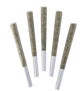 DEALR - DEALR - Chemical Romance Pre-Rolls - 5x0.5g
