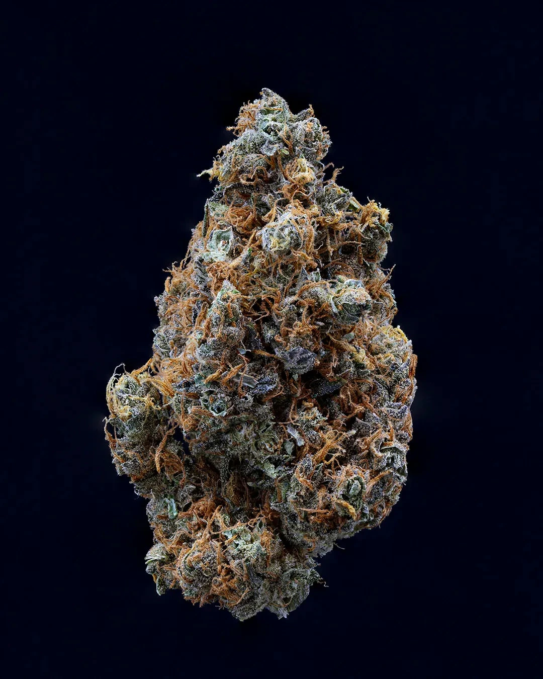 SWEETGRASS ORGANIC CANNABIS - MYSTIC MAGIC | Sweetgrass Org. Cannabis - 3.5g Flower | Elevate Main Image