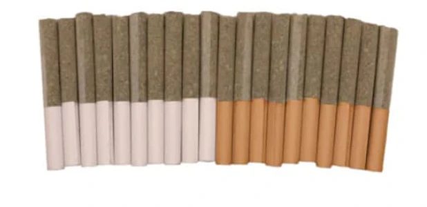 TRYGG - Block Party Dawn to Dusk PR - Trygg