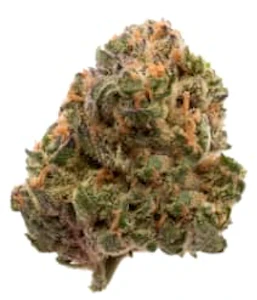 FIGR - FIGR - Garlic Truffle 28g - Dried Flower