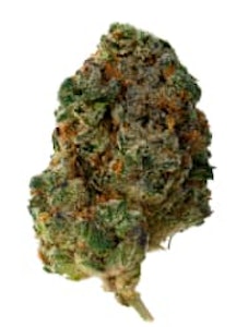 The Loud Plug - The Loud Plug - Waffle Cone 28g - Dried Flower