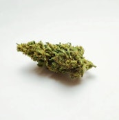 Grown Here - The Ambassador Infused CBD Flower (3.5g)