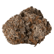 Neon Sunshine 3.5g Dried Flower