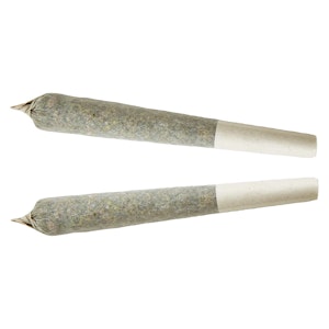 XPLOR - Sativa Pre-roll 2x1g Pre-Rolls