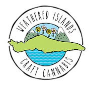 Cannabis Cup (Feminized Autoflower) Multi Pack Seeds 2x2 (4 Pack of Seeds)