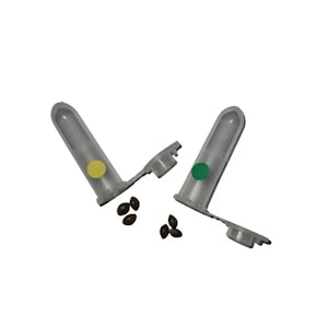 Kootenay Aeroponic Inc. - STRAWBERRY LEMONADE/DOUBLE GOD BOD SEED VAR PK - 6