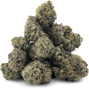 BC 1/4 - (12) BLACKBERRY SOUR (Bc 1/4) - 7g