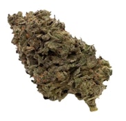 FIGR | Jungle Fumes | 14 g