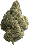 The Republic - Reserve | 7g