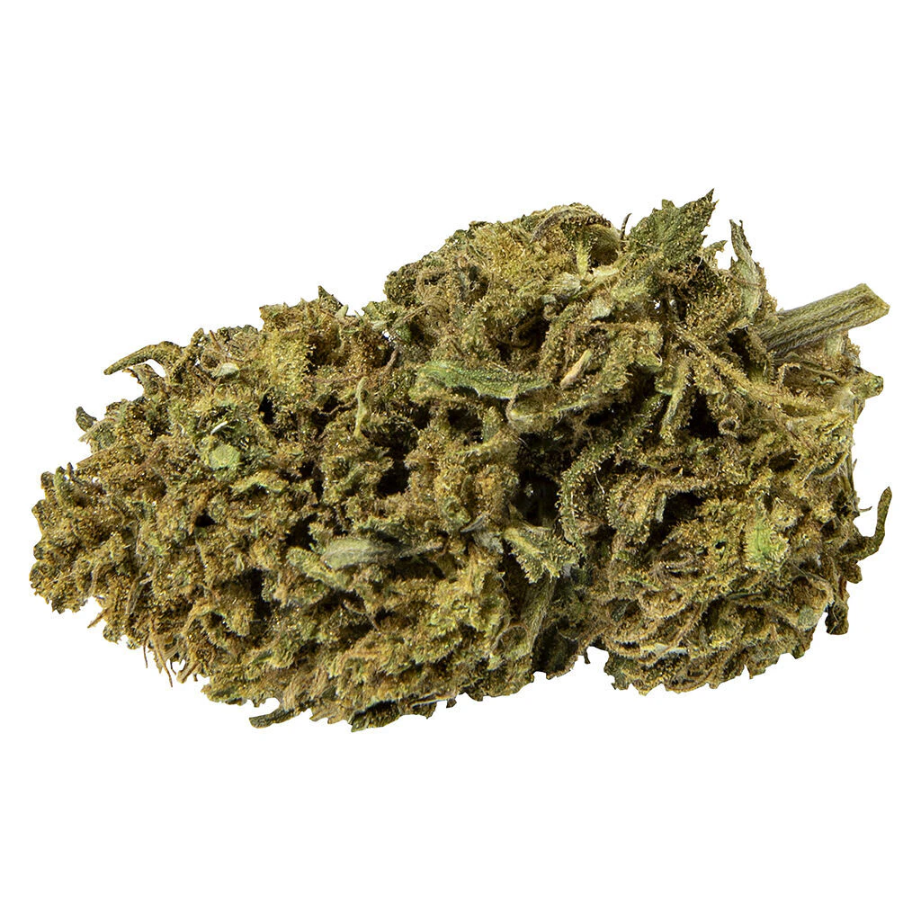 Abide - Blueberry Bliss 3.5g *3% Terps Main Image