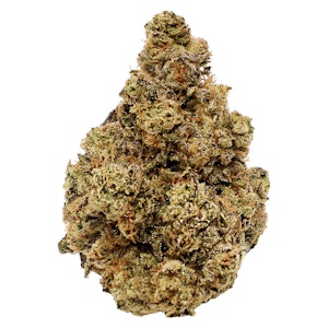 LOT420 - LOT420 - Gloc 14g Dried Flower