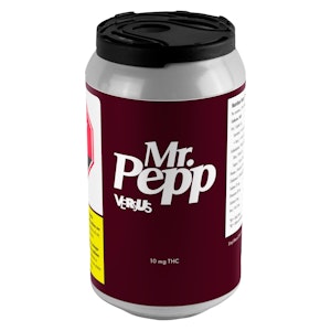 Versus - Versus | Mr. Spice - Hybrid - 355ml