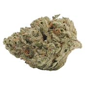 Back Forty | Liquid Imagination - Hybrid - 7g