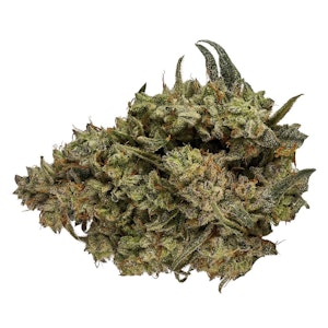 Orchid CBD - Orchid | CBD Runtz - Hybrid - 3.5g