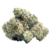 Toasted | WiFi Widow OG - Sativa - 3.5g