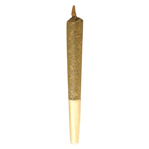 Buddy Blooms - Buddy Blooms | Sativa Pre-Roll - Sativa - 1x1g