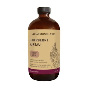 Harmonic Arts - Elderberry Syrup 250 ml