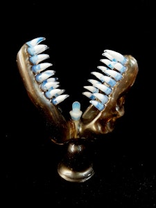 EKA Glass - EKA Glass | Handmade Dino Skull Hashie - Desert