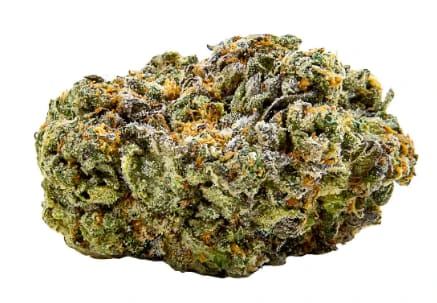 Chillbilly - Jack Herer Jamboree Budskis 3.5g Main Image