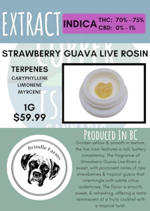 Brindle Farms - BRINDLE FARMS - STRAWBERRY GUAVA LIVE ROSIN