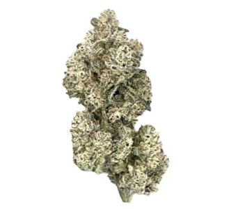 HighXotic - HighXotic | Royal Dive #5: Purple Zombie - Indica - 3.5g