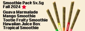 Nostrum Biopharm Inc - Fortified - Infused Smoothie IPR 5x.5g Main Image