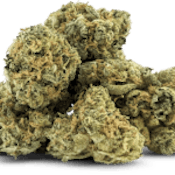 ORANGE ZLUSH