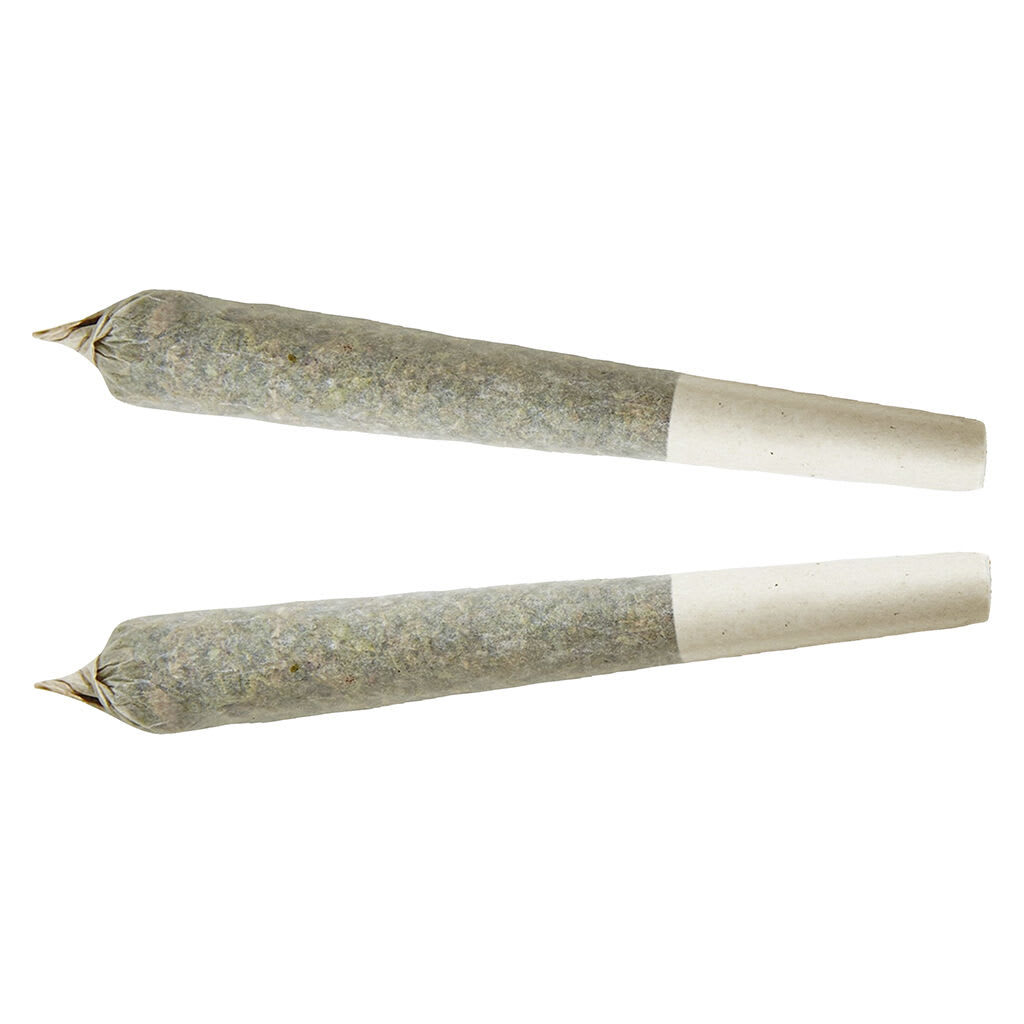 XPLOR Sativa Pre-roll 2x1g Pre-Rolls