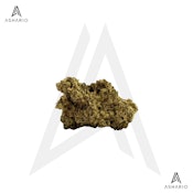 Dante'z Inferno | 7g