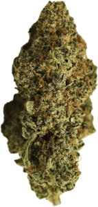 JOI Botanicals - Joi Botanicals - Orange Kush Cake | 7g