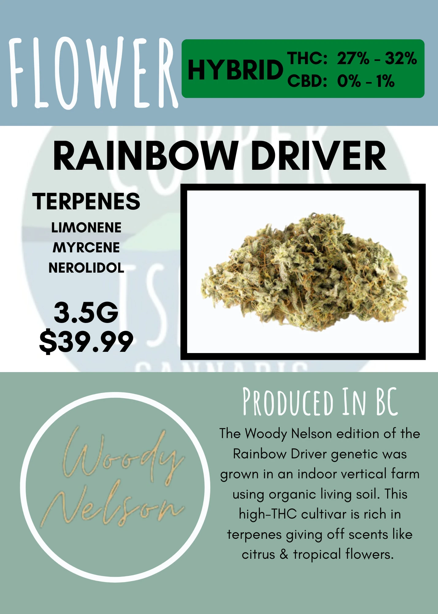Woody Nelson - 3.5G - WOODY NELSON - RAINBOW DRIVER Main Image