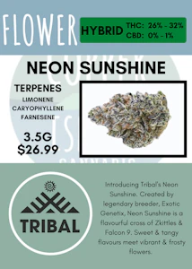 Tribal - 3.5G - TRIBAL - NEON SUNSHINE