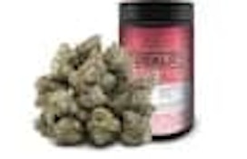DEALR | SUGAR TARTZ LTO | 28g