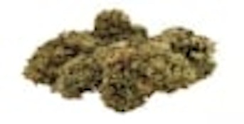 Grown Here Farms | DAY DREAMIN' INFUSED CBD FLOWER | 7g