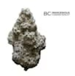 JBuds Craft Cannabis - JBuds Craft Cannabis | PEACH SUPREME | 7g