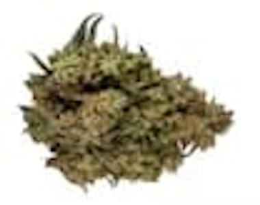 Orchid CBD - Orchid CBD | CBD RUNTZ | 3.5g