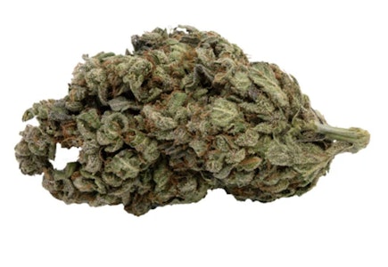 Crones Nest Farms - ANTIDOTE PINEAPPLE EXPRESS SMALLS - 7