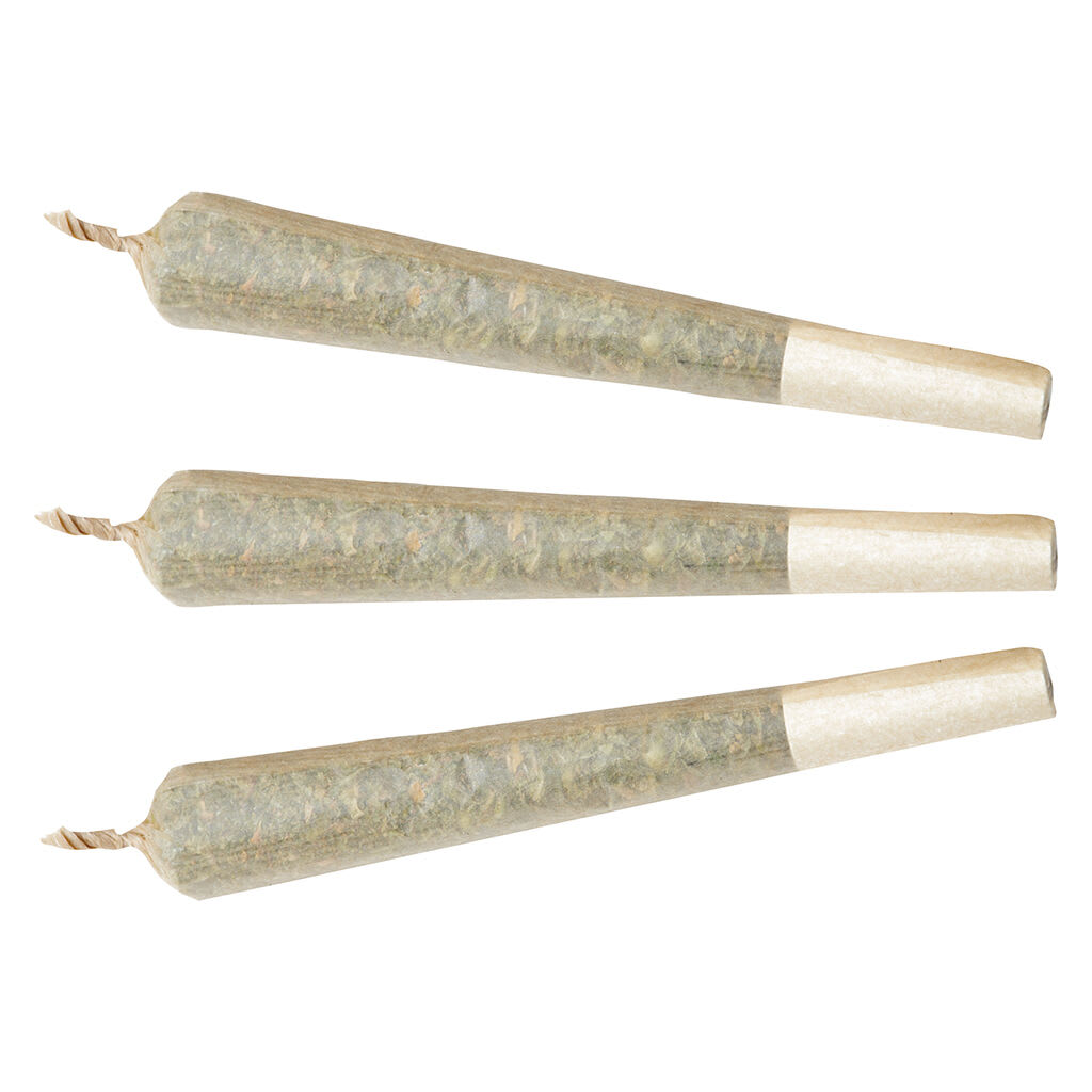 Watermelon G-Bear Distillate Infused Pre-Roll 1x1g Distillates